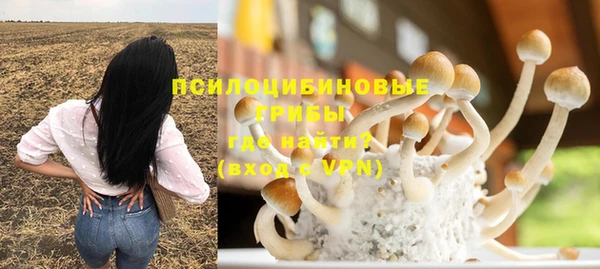 прущий лед Алексеевка