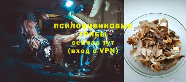 гидропоника Абдулино