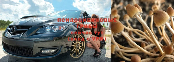 гидропоника Абдулино