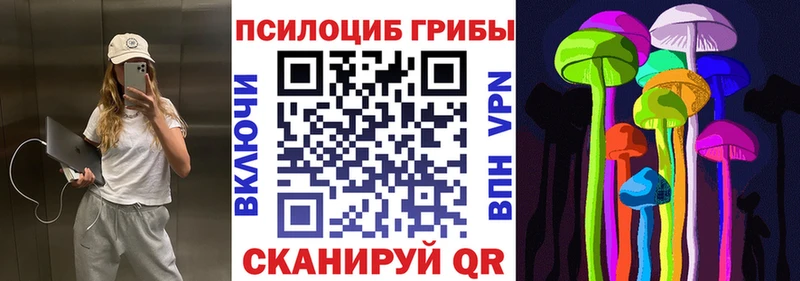 mega ссылки  Каргополь  Галлюциногенные грибы Magic Shrooms  площадка официальный сайт  где продают наркотики 